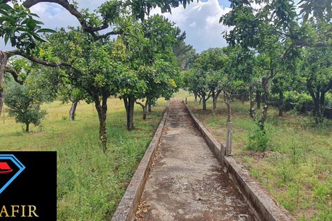 Helårsgrund i Tomar, Santarem, Tomar - € 95.000 | Ref: 00535 - foto 16