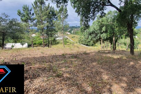 Helårsgrund i Tomar, Santarem, Tomar - € 95.000 | Ref: 00535 - foto 17