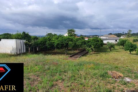Helårsgrund i Tomar, Santarem, Tomar - € 95.000 | Ref: 00535 - foto 18