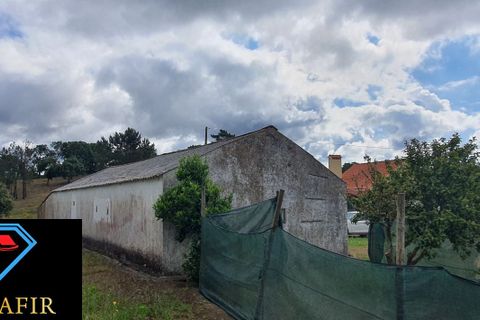 Helårsgrund i Tomar, Santarem, Tomar - € 95.000 | Ref: 00535 - foto 19