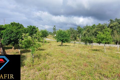Helårsgrund i Tomar, Santarem, Tomar - € 95.000 | Ref: 00535 - foto 20