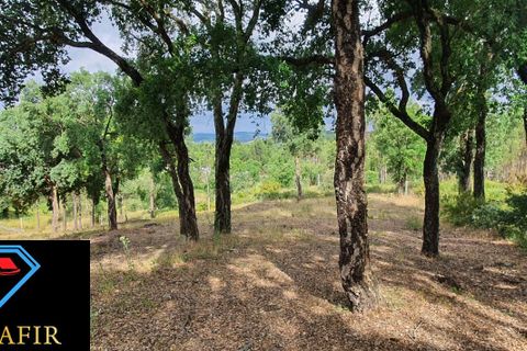 Helårsgrund i Tomar, Santarem, Tomar - € 95.000 | Ref: 00535 - foto 24