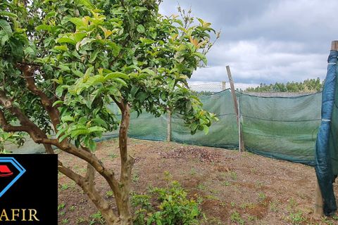 Helårsgrund i Tomar, Santarem, Tomar - € 95.000 | Ref: 00535 - foto 26