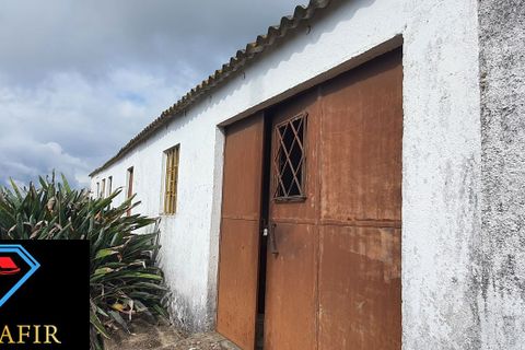 Helårsgrund i Tomar, Santarem, Tomar - € 95.000 | Ref: 00535 - foto 27