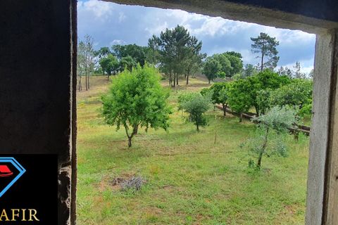 Helårsgrund i Tomar, Santarem, Tomar - € 95.000 | Ref: 00535 - foto 28