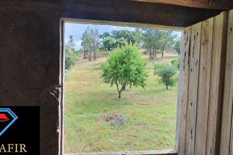 Helårsgrund i Tomar, Santarem, Tomar - € 95.000 | Ref: 00535 - foto 29