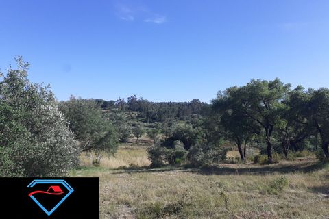 Helårsgrund i Tomar, Santarem, Tomar - € 30.000 | Ref: HD008 - foto 1