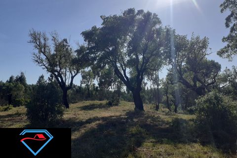 Helårsgrund i Tomar, Santarem, Tomar - € 30.000 | Ref: HD008 - foto 2