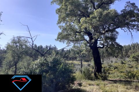 Helårsgrund i Tomar, Santarem, Tomar - € 30.000 | Ref: HD008 - foto 3