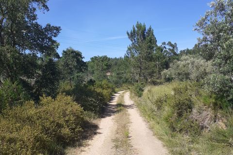 Helårsgrund i Tomar, Santarem, Tomar - € 30.000 | Ref: HD008 - foto 5