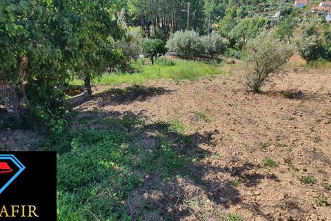 Landejendom i Macao, Santarem, Macao - € 50.000 | Ref: 00548 - foto 8