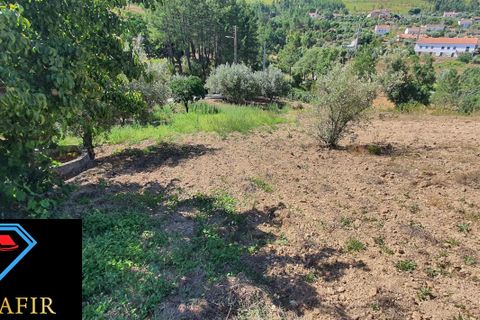 Landejendom i Macao, Santarem, Macao - € 50.000 | Ref: 00548 - foto 9