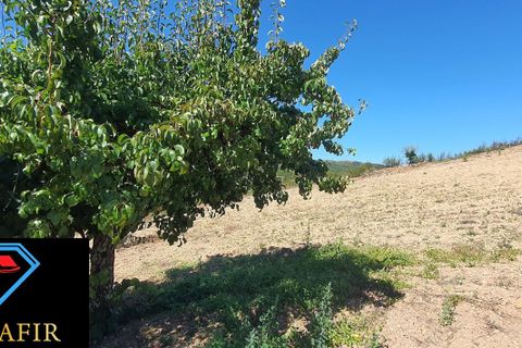 Landejendom i Macao, Santarem, Macao - € 50.000 | Ref: 00548 - foto 11