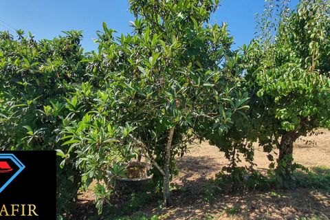 Landejendom i Macao, Santarem, Macao - € 50.000 | Ref: 00548 - foto 12