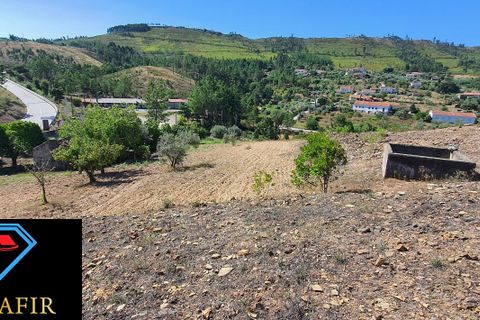 Landejendom i Macao, Santarem, Macao - € 50.000 | Ref: 00548 - foto 16