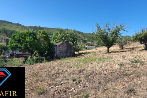 Landejendom i Macao, Santarem, Macao - € 50.000 | Ref: 00548 - foto 18