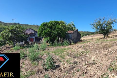 Landejendom i Macao, Santarem, Macao - € 50.000 | Ref: 00548 - foto 19