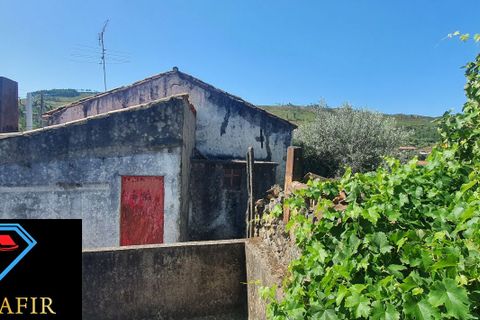Landejendom i Macao, Santarem, Macao - € 50.000 | Ref: 00548 - foto 24