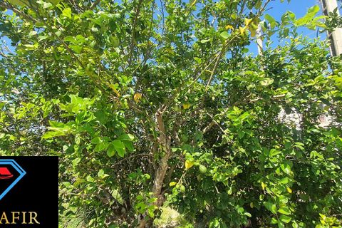 Landejendom i Macao, Santarem, Macao - € 50.000 | Ref: 00548 - foto 29