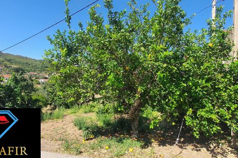 Landejendom i Macao, Santarem, Macao - € 50.000 | Ref: 00548 - foto 30