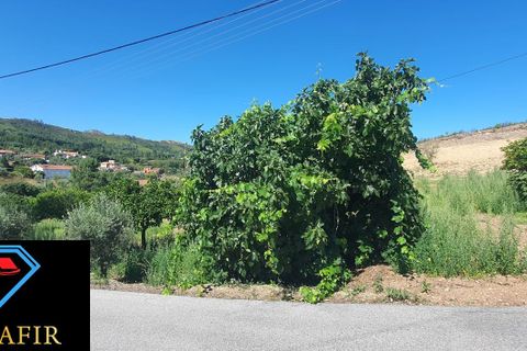 Landejendom i Macao, Santarem, Macao - € 50.000 | Ref: 00548 - foto 31