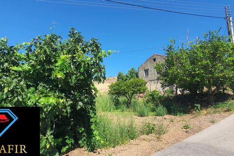 Landejendom i Macao, Santarem, Macao - € 50.000 | Ref: 00548 - foto 32
