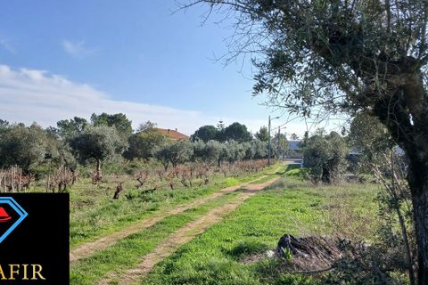 Helårsgrund i Ourem, Santarem, Ourem - € 34.000 | Ref: HD015 - foto 6
