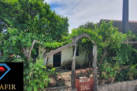 Villa i Macao, Santarem, Macao - € 58.000 | Ref: 00615 - foto 22