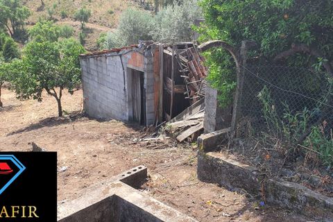 Villa i Macao, Santarem, Macao - € 58.000 | Ref: 00615 - foto 23