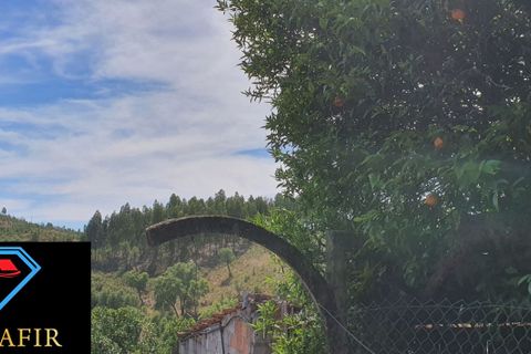 Villa i Macao, Santarem, Macao - € 58.000 | Ref: 00615 - foto 25