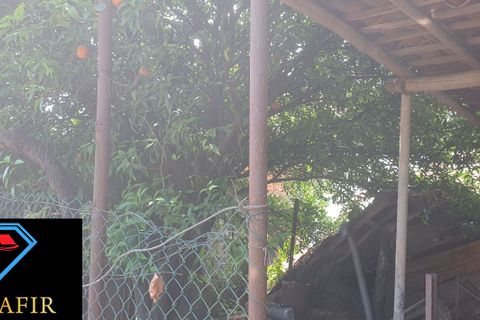 Villa i Macao, Santarem, Macao - € 58.000 | Ref: 00615 - foto 29