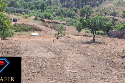 Villa i Macao, Santarem, Macao - € 58.000 | Ref: 00615 - foto 34