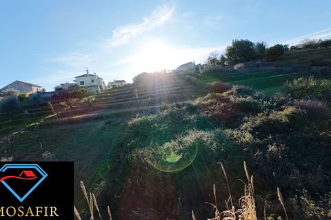 Villa i Tomar, Santarem, Tomar - € 95.000 | Ref: 00618 - foto 6