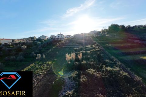 Villa i Tomar, Santarem, Tomar - € 95.000 | Ref: 00618 - foto 7