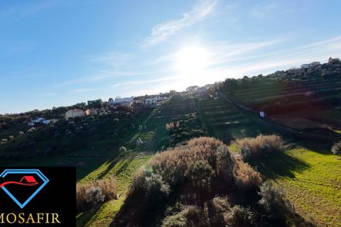 Villa i Tomar, Santarem, Tomar - € 95.000 | Ref: 00618 - foto 8