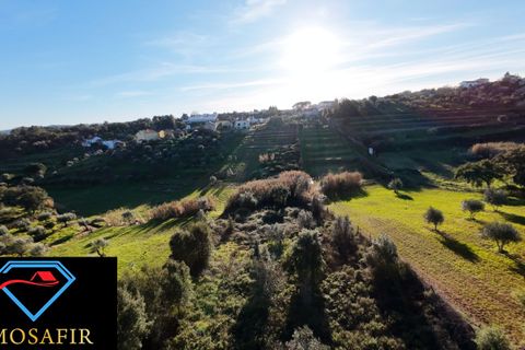 Villa i Tomar, Santarem, Tomar - € 95.000 | Ref: 00618 - foto 9