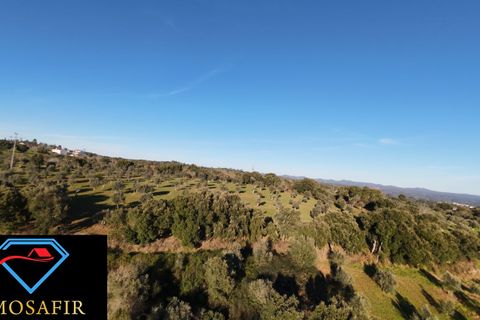 Villa i Tomar, Santarem, Tomar - € 95.000 | Ref: 00618 - foto 10