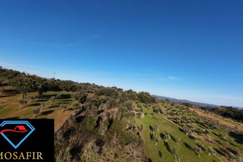 Villa i Tomar, Santarem, Tomar - € 95.000 | Ref: 00618 - foto 11