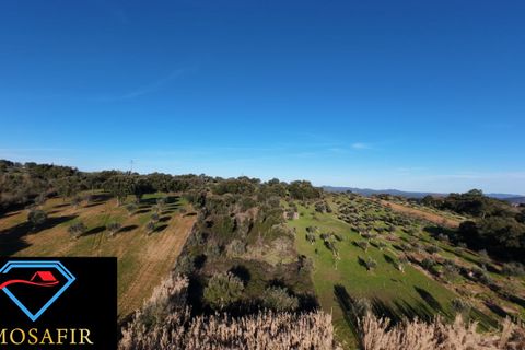 Villa i Tomar, Santarem, Tomar - € 95.000 | Ref: 00618 - foto 12