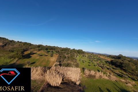 Villa i Tomar, Santarem, Tomar - € 95.000 | Ref: 00618 - foto 13
