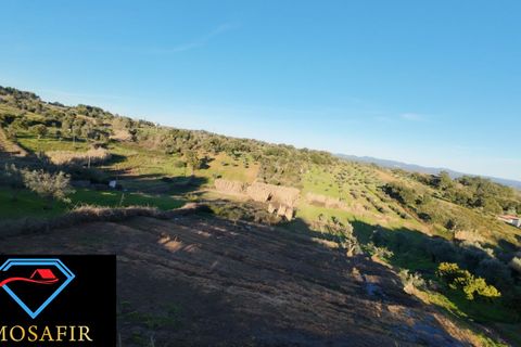 Villa i Tomar, Santarem, Tomar - € 95.000 | Ref: 00618 - foto 16