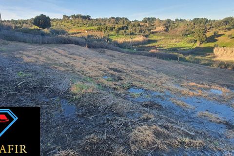 Villa i Tomar, Santarem, Tomar - € 95.000 | Ref: 00618 - foto 29