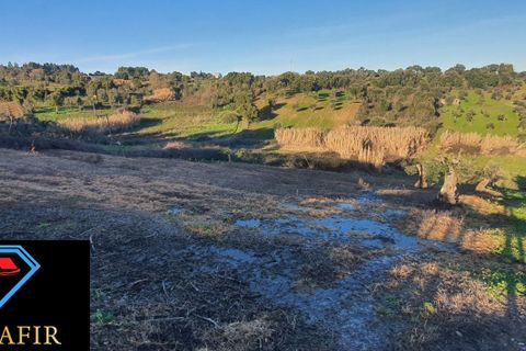 Villa i Tomar, Santarem, Tomar - € 95.000 | Ref: 00618 - foto 30