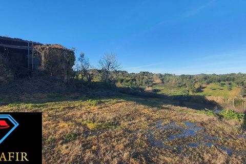Villa i Tomar, Santarem, Tomar - € 95.000 | Ref: 00618 - foto 36