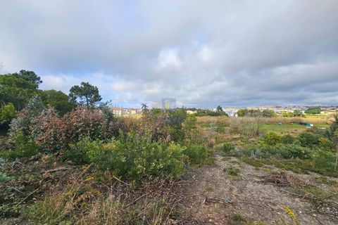 Helårsgrund i Santo Onofre e Serra do Bouro, Leiria, Santo Onofre e Serra do Bouro - € 275.940 | Ref: CAL-216721 - foto 3