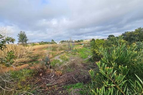 Helårsgrund i Santo Onofre e Serra do Bouro, Leiria, Santo Onofre e Serra do Bouro - € 275.940 | Ref: CAL-216721 - foto 6