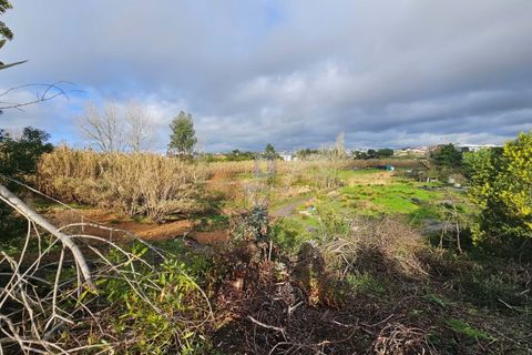 Helårsgrund i Santo Onofre e Serra do Bouro, Leiria, Santo Onofre e Serra do Bouro - € 275.940 | Ref: CAL-216721 - foto 7