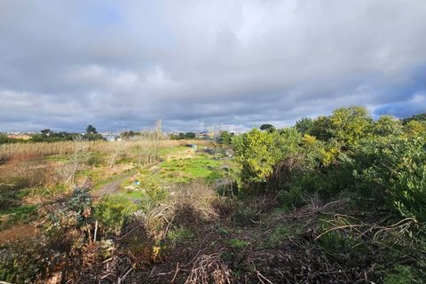 Helårsgrund i Santo Onofre e Serra do Bouro, Leiria, Santo Onofre e Serra do Bouro - € 275.940 | Ref: CAL-216721 - foto 8