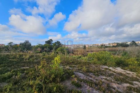 Helårsgrund i Santo Onofre e Serra do Bouro, Leiria, Santo Onofre e Serra do Bouro - € 275.940 | Ref: CAL-216721 - foto 9