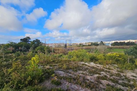 Helårsgrund i Santo Onofre e Serra do Bouro, Leiria, Santo Onofre e Serra do Bouro - € 275.940 | Ref: CAL-216721 - foto 10
